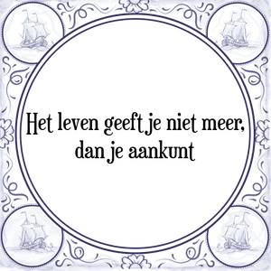 Spreuk Het leven geeft je niet meer,
dan je aankunt