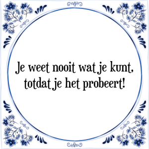 Spreuk Je weet nooit wat je kunt,
totdat je het probeert!