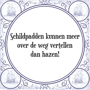 Spreuk Schildpadden kunnen meer
over de weg vertellen
dan hazen!