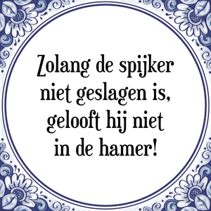 Spreuk Zolang de spijker
niet geslagen is,
gelooft hij niet
in de hamer!