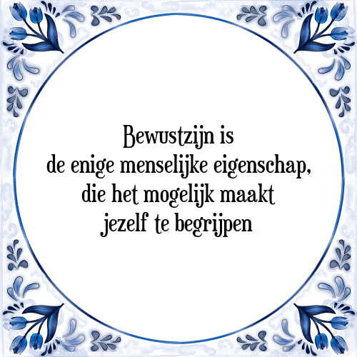 Bewustzijn is de enige menselijke eigenschap, die het mogelijk maakt jezelf te begrijpen - Tegeltje met Spreuk