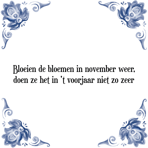 Bloeien de bloemen in november weer, doen ze het in 't voorjaar niet zo zeer - Tegeltje met Spreuk