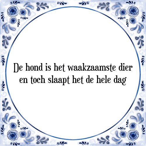 De hond is het waakzaamste dier en toch slaapt het de hele dag - Tegeltje met Spreuk