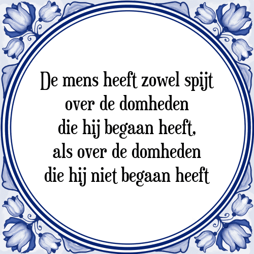 De mens heeft zowel spijt over de domheden die hij begaan heeft, als over de domheden die hij niet begaan heeft - Tegeltje met Spreuk