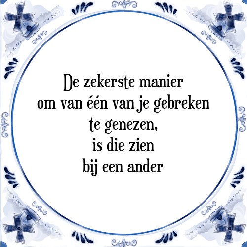 De zekerste manier om van één van je gebreken te genezen, is die zien bij een ander - Tegeltje met Spreuk