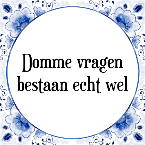 Domme vragen bestaan echt wel - Tegeltje met Spreuk