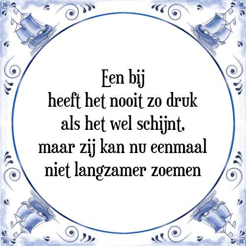 Een bij heeft het nooit zo druk als het wel schijnt, maar zij kan nu eenmaal niet langzamer zoemen - Tegeltje met Spreuk