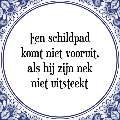 Een schildpad komt niet vooruit, als hij zijn nek niet uitsteekt - Tegeltje met Spreuk