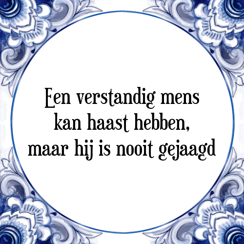 Een verstandig mens kan haast hebben, maar hij is nooit gejaagd - Tegeltje met Spreuk