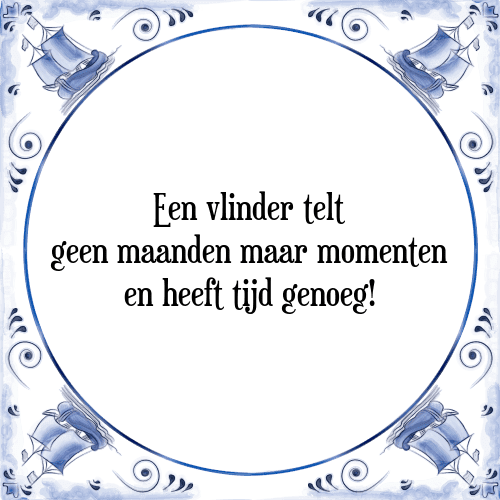 Een vlinder telt geen maanden maar momenten en heeft tijd genoeg! - Tegeltje met Spreuk