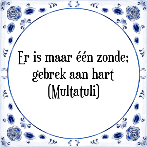 Er is maar één zonde; gebrek aan hart (Multatuli) - Tegeltje met Spreuk