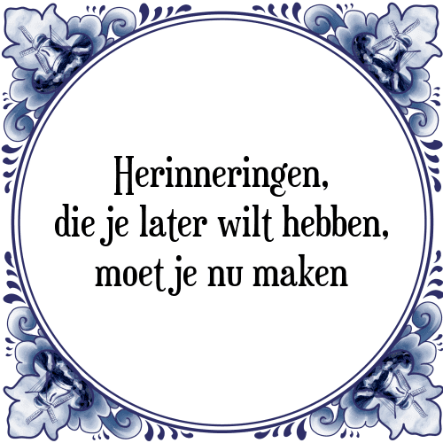 Herinneringen, die je later wilt hebben, moet je nu maken - Tegeltje met Spreuk