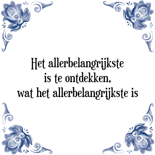 Het allerbelangrijkste is te ontdekken, wat het allerbelangrijkste is - Tegeltje met Spreuk