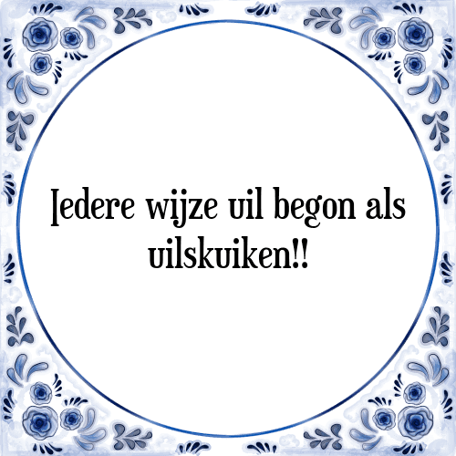 Iedere wijze uil begon als uilskuiken!! - Tegeltje met Spreuk