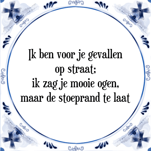 Ik ben voor je gevallen op straat; ik zag je mooie ogen, maar de stoeprand te laat - Tegeltje met Spreuk