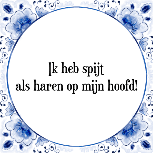 Ik heb spijt als haren op mijn hoofd! - Tegeltje met Spreuk