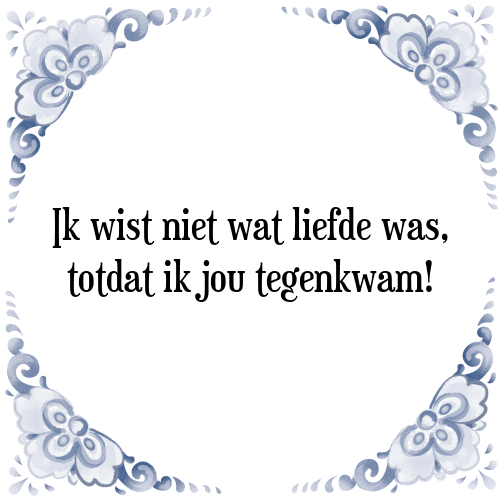 Ik wist niet wat liefde was, totdat ik jou tegenkwam! - Tegeltje met Spreuk