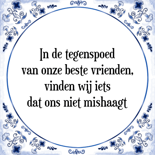 In de tegenspoed van onze beste vrienden, vinden wij iets dat ons niet mishaagt - Tegeltje met Spreuk