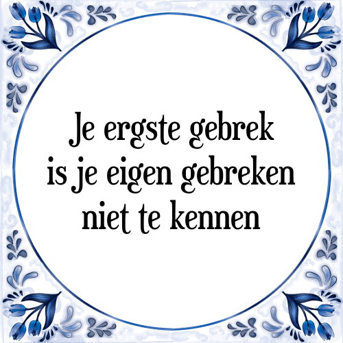 Je ergste gebrek is je eigen gebreken niet te kennen - Tegeltje met Spreuk