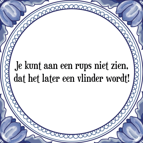 Je kunt aan een rups niet zien, dat het later een vlinder wordt! - Tegeltje met Spreuk