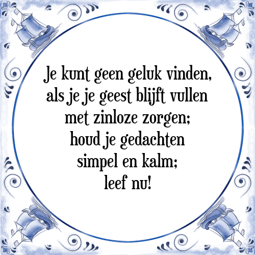 Je kunt geen geluk vinden, als je je geest blijft vullen met zinloze zorgen; houd je gedachten simpel en kalm; leef nu! - Tegeltje met Spreuk