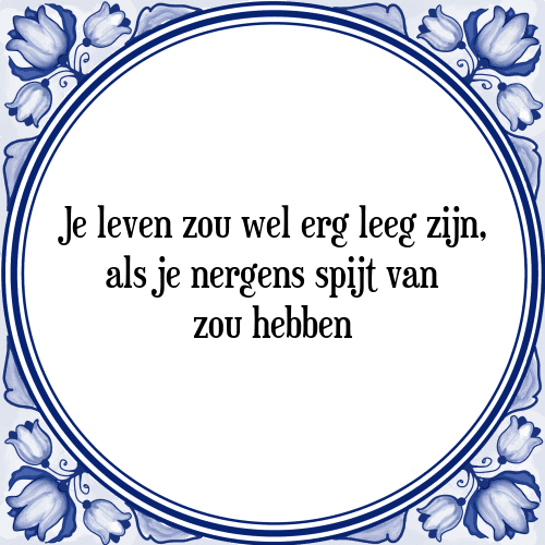 Je leven zou wel erg leeg zijn, als je nergens spijt van zou hebben - Tegeltje met Spreuk