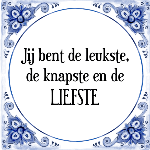 Jij bent de leukste, de knapste en de LIEFSTE - Tegeltje met Spreuk