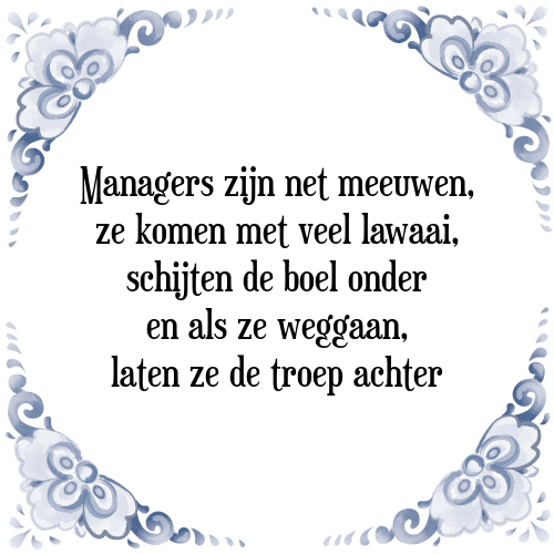 Managers zijn net meeuwen, ze komen met veel lawaai, schijten de boel onder en als ze weggaan, laten ze de troep achter - Tegeltje met Spreuk