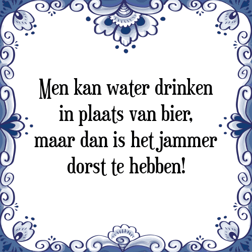 Men kan water drinken in plaats van bier, maar dan is het jammer dorst te hebben! - Tegeltje met Spreuk