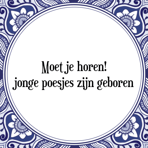 Moet je horen! jonge poesjes zijn geboren - Tegeltje met Spreuk