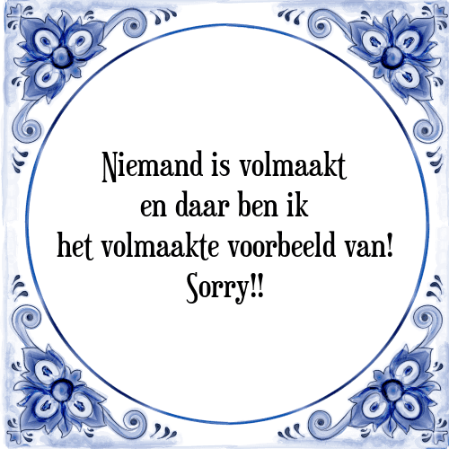 Niemand is volmaakt en daar ben ik het volmaakte voorbeeld van! Sorry!! - Tegeltje met Spreuk