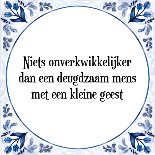 Niets onverkwikkelijker dan een deugdzaam mens met een kleine geest - Tegeltje met Spreuk