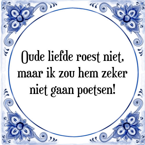 Oude liefde roest niet, maar ik zou hem zeker niet gaan poetsen! - Tegeltje met Spreuk