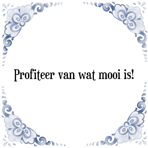 Profiteer van wat mooi is! - Tegeltje met Spreuk