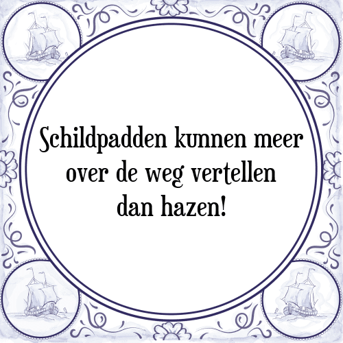 Schildpadden kunnen meer over de weg vertellen dan hazen! - Tegeltje met Spreuk