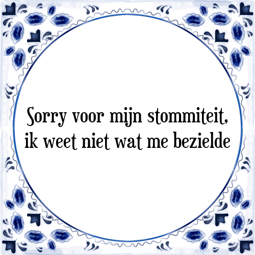 Sorry voor mijn stommiteit, ik weet niet wat me bezielde - Tegeltje met Spreuk