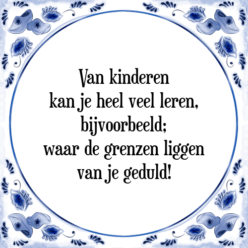 Van kinderen kan je heel veel leren, bijvoorbeeld; waar de grenzen liggen van je geduld! - Tegeltje met Spreuk