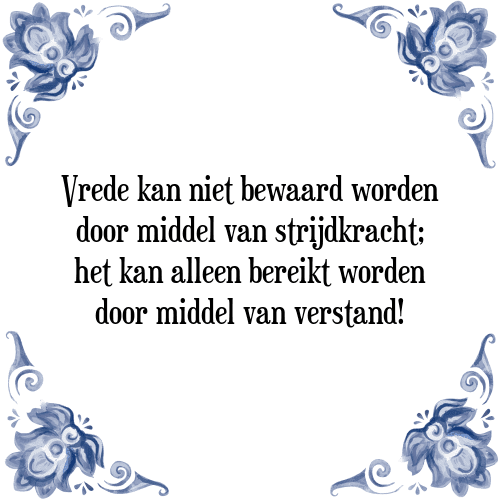 Vrede kan niet bewaard worden door middel van strijdkracht; het kan alleen bereikt worden door middel van verstand! - Tegeltje met Spreuk