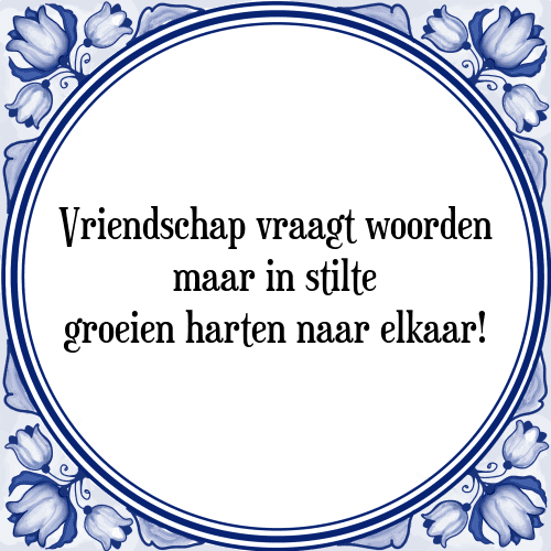 Vriendschap vraagt woorden maar in stilte groeien harten naar elkaar! - Tegeltje met Spreuk