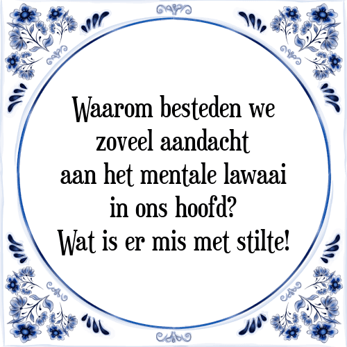 Waarom besteden we zoveel aandacht aan het mentale lawaai in ons hoofd? Wat is er mis met stilte! - Tegeltje met Spreuk