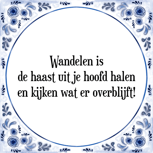 Wandelen is de haast uit je hoofd halen en kijken wat er overblijft! - Tegeltje met Spreuk