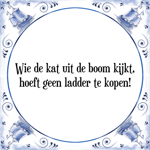 Wie de kat uit de boom kijkt, hoeft geen ladder te kopen! - Tegeltje met Spreuk