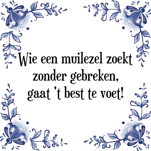 Wie een muilezel zoekt zonder gebreken, gaat 't best te voet! - Tegeltje met Spreuk