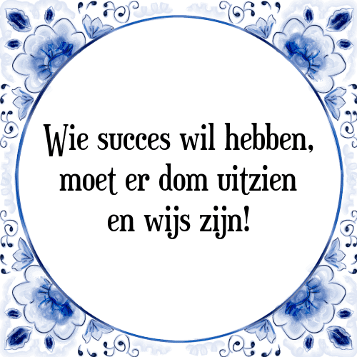 Wie succes wil hebben, moet er dom uitzien en wijs zijn! - Tegeltje met Spreuk