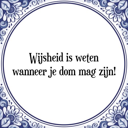 Wijsheid is weten wanneer je dom mag zijn! - Tegeltje met Spreuk